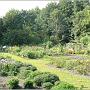 jardin_2009_1