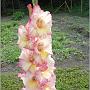 jardin_2009_47