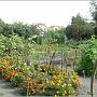 jardin_2009_53