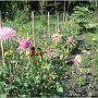 jardin_2009_66