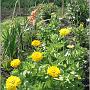 jardin_2009_67