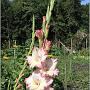 jardin_2009_70