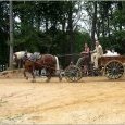 Guédelon : transport des matériaux