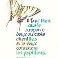 Quelques chenilles