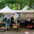 Fête du Parc des Moulins à Troyes
