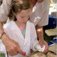 la Fête du Parc des Moulins 2019