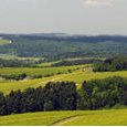 Troyes & ses vignes