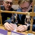 Journées européennes des Métiers d'Art 2019