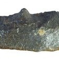 Bec (Tautavel)