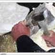 Dans l'atelier de Michel Yseboodt, sculpteur.