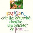 Papillon cherche fleur