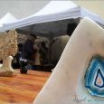 Journées du Patrimoine 2014