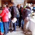 Rallye culturel 2019