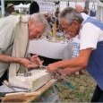 l'Outil en Main à la Fête du Parc des Moulins