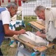 l'Outil en Main à la Fête du Parc des Moulins