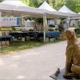 la Fête du Parc des Moulins 2019