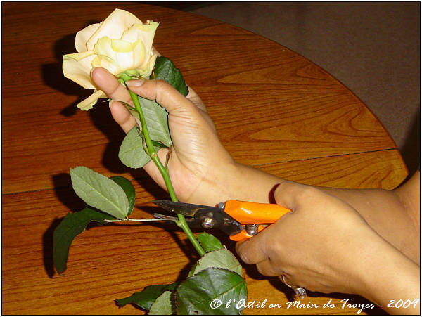 Préparation des fleurs
