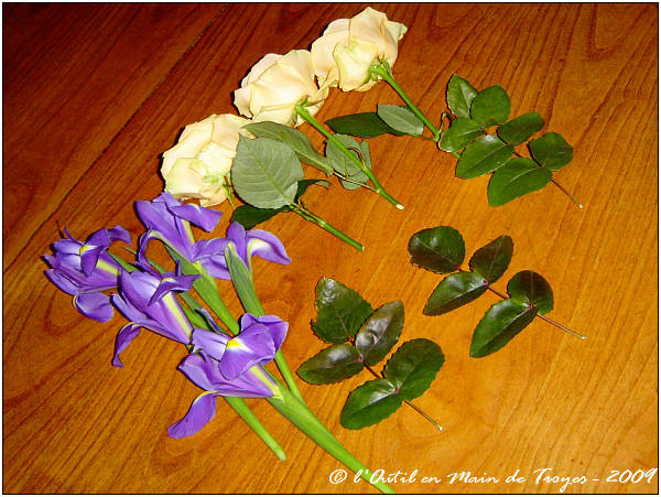 les fleurs