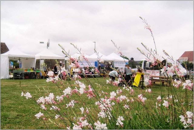 l'Outil en Main à la Fête du Parc des Moulins